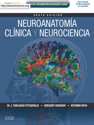 e-books-medicina-5.jpg